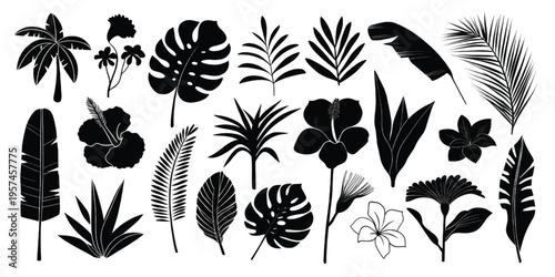 A collection of black silhouette illustrations featuring various tropical leaves and exotic flowers