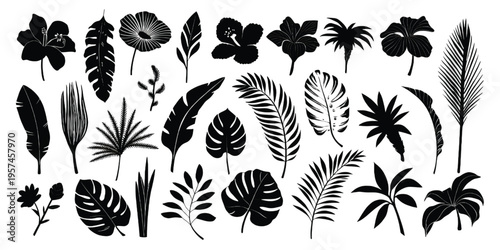 A collection of various tropical leaves and exotic botanical silhouettes in black and white ink