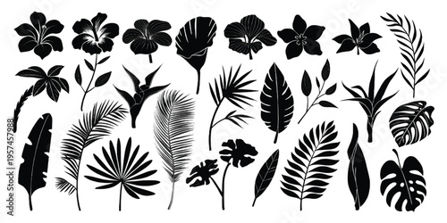 A collection of various tropical flower and leaf silhouettes arranged in a repeating pattern set