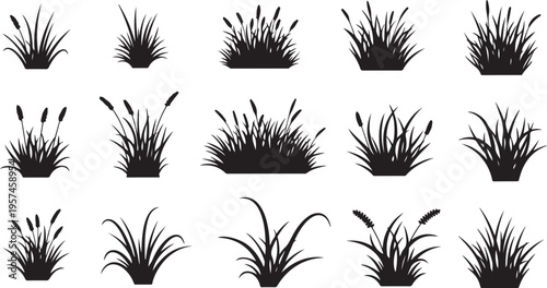 An artistic collection of various grasses and reeds is displayed in stark black forming a visually striking silhouette high quality professional detailed modern elegant stylish clean
