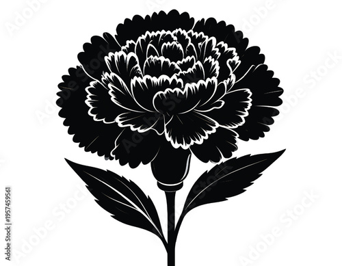 A high contrast black and white graphic illustration of a single blooming carnation flower head