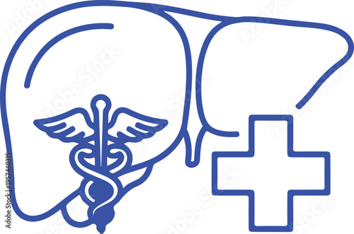 Medical illustration featuring a human liver outline combined with a caduceus and a health cross isolated on transparent background, isolated on white background, Vector