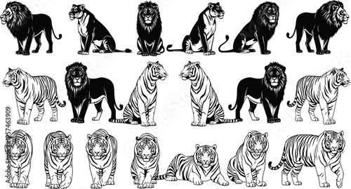 Lion and tiger silhouettes set, wild african safari animal and jungle cat poses collection, wildlife vector icons isolated on white.