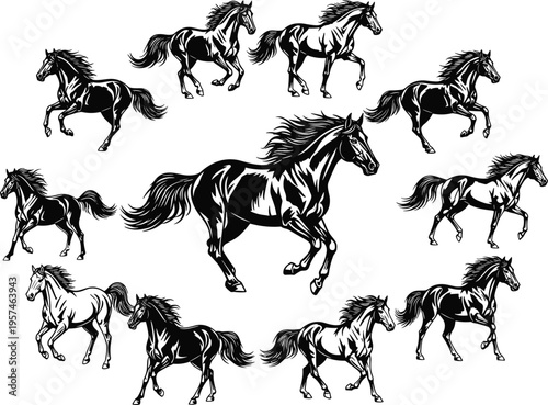 Horse silhouettes set, various equestrian stallion poses like running jumping and grazing, wild mare vector icons isolated on white background.
