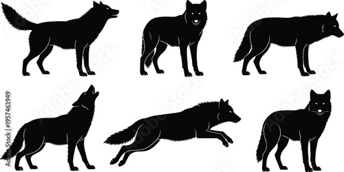Wolf silhouettes set, howling running and standing timber wolf poses collection, wild predator animal vector icons isolated on white background.