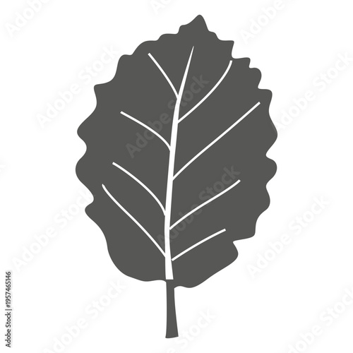 Sour cherry line leaf