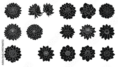 A collection of architectural tree top view silhouettes isolated on a plain white background area