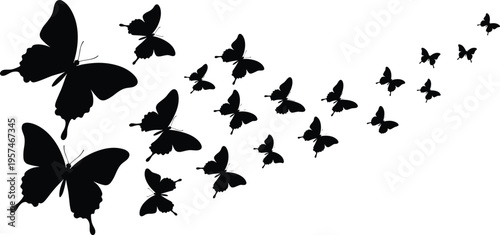 butterfly silhouettes flying set, swarm of insects, nature beauty concept, decorative wings pattern, isolated black butterflies illustration background design
