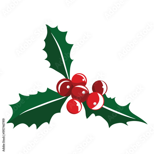 Mistletoe icon 6