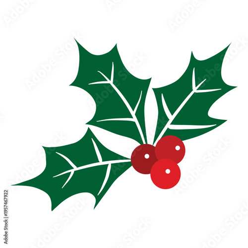 Mistletoe icon 30