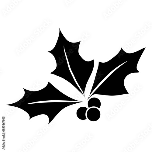 Mistletoe silhouette icon 21
