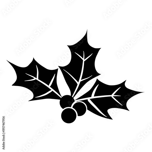 Mistletoe silhouette icon 29