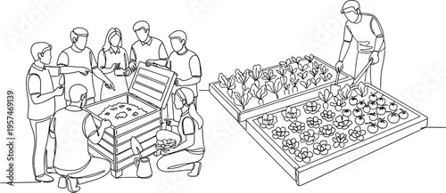 people working with seedlings in trays