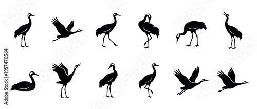 Set of crane bird silhouettes in various poses including standing, walking, flying, and preening, depicting elegant waterfowl.