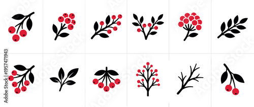 Collection of stylized berry branches, leafy twigs, and bare plant elements in a simple graphic design for various uses.