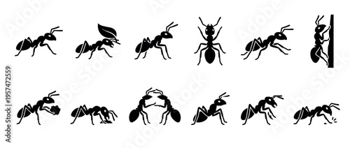 Ants insect colony worker silhouettes in various poses and activities illustrating their daily life and social behavior in a collection.