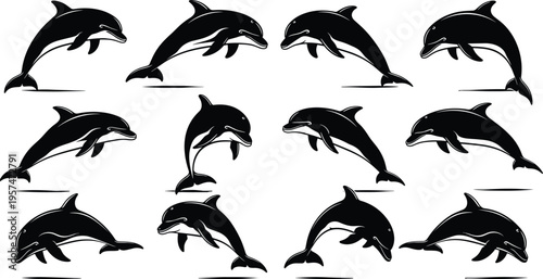 Black and white dolphin silhouettes set, jumping sea animal vector icons, aquatic mammal illustrations bundle isolated on white background for design.