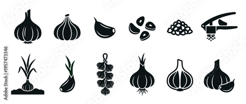 Garlic icons set illustrating whole bulbs, individual cloves, minced garlic, growing plant, and a garlic press.