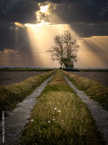 Albufera Natural Park in Valencia (Spain)