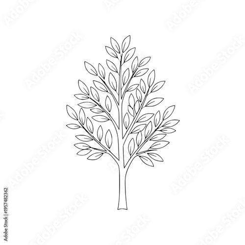 A tree with many leaves drawn in black lines Vector, illustration