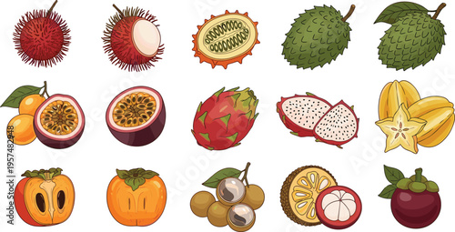 Complete Barbecue and Grilling Vector Collection Featuring Various Grills Smokers Steaks Burgers Sausages Chef Tools and Outdoor Cooking Equipment for Summer Party Menus