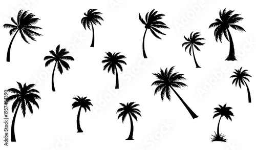 A set of black palm tree silhouettes on a white background