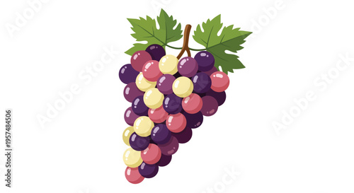 A colorful bunch of grapes with green leaves on a white background