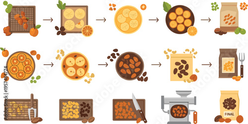 Coffee production process vector set with harvesting, roasting, grinding and brewing stages, beans transformation, food processing illustration collection