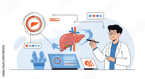 Doctor analyzing liver hologram with medical data and charts