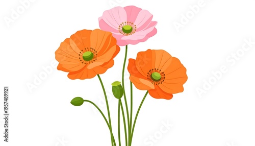 Vibrant Poppy Flowers Illustration.
