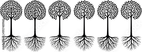 Black Tree Silhouette Set with Detailed Roots and Branches Isolated on White Background Nature Growth Concept Vector Illustration