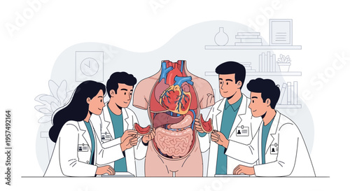 Medical Students Studying Human Anatomy Model with Organs and Heart