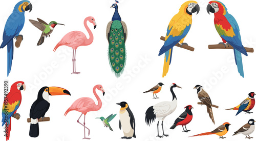 Exotic Bird Collection Illustration Featuring Parrots, Flamingos, Toucan, Peacock, Penguin, Crane, and Colorful Wild Birds in Flat Cartoon Style