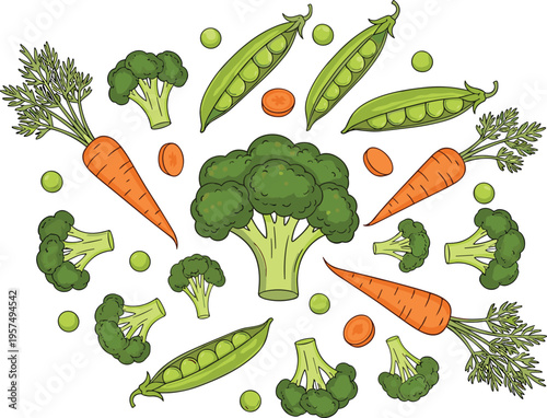 Assorted Garden Vegetable Vector Composition with Fresh Carrots Broccoli and Green Peas in a Scattered Flat Lay Arrangement for Healthy Food and Vegan Nutrition Graphics