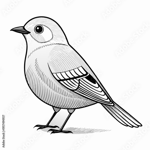 Hand drawn vector illustration of a bird perched 