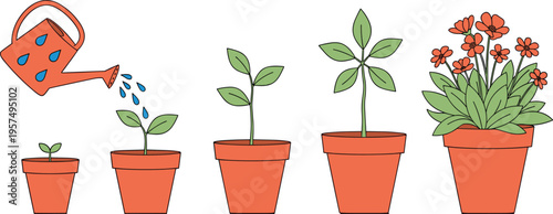 Plant growth stages in flower pot vector illustration with watering can showing seedling development process isolated on light background for gardening education concept