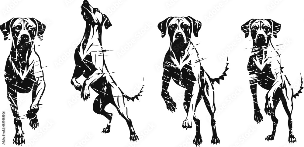 Fototapeta premium Silhouettes of running dog in various dynamic jumping and airborne poses