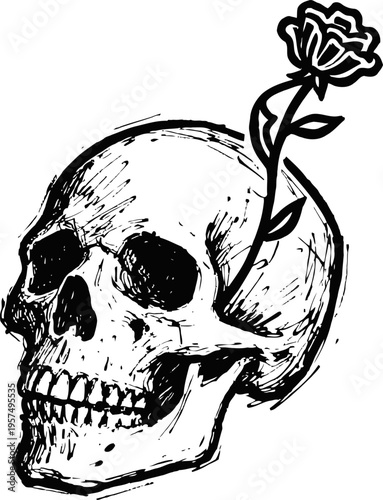 Human skull with a blooming rose growing out of the cranium black ink sketch with detailed shading and line work