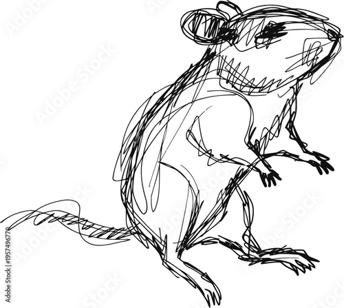 hand drawn sketch of a mouse standing on hind legs with detailed fur and whiskers