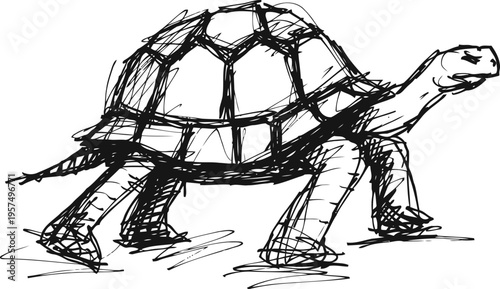 hand drawn black tortoise sketch simple line art turtle with shell and legs minimalist animal drawing concept