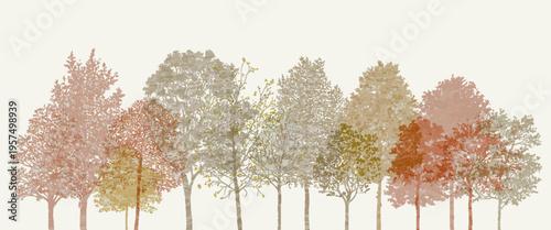 Architectural CAD Tree Drawings Set with Roots, Minimal Line Style Tree Illustrations, Grunge Tree Vector Collection, Wetland Forest Sections, Landscape Design Elements, Outline Botanical Draft Pack