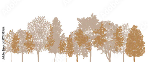 Architectural CAD Tree Drawings Set with Roots, Minimal Line Style Tree Illustrations, Grunge Tree Vector Collection, Wetland Forest Sections, Landscape Design Elements, Outline Botanical Draft Pack