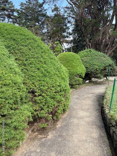 path in the garden