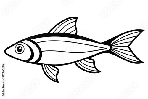 neon tetra silhouette line art vector illustration