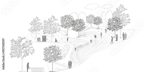 Architectural Drawings of Minimal CAD Trees with Roots, Clean Line Tree Illustrations, Grunge Tree Vector Set, Wetland Forest Section Views, Landscape Design Outline Elements for Planning Projects