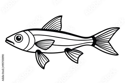 neon tetra silhouette line art vector illustration