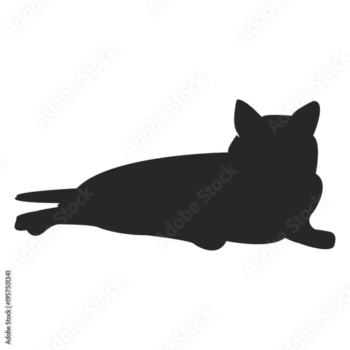 Cat sleeping