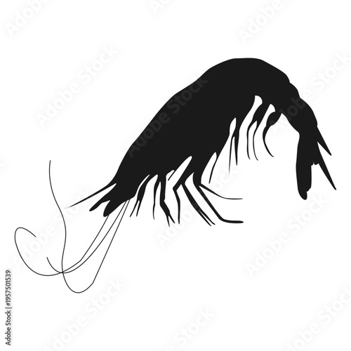Crustacean silhouette