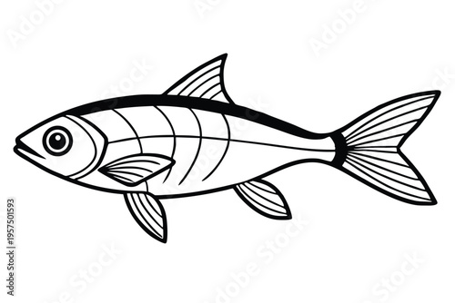 neon tetra silhouette line art vector illustration