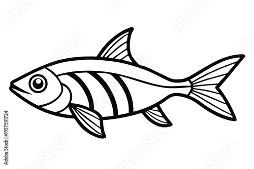 neon tetra silhouette line art vector illustration